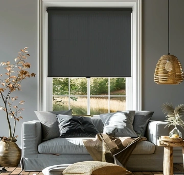 The Best Types of Window Shades