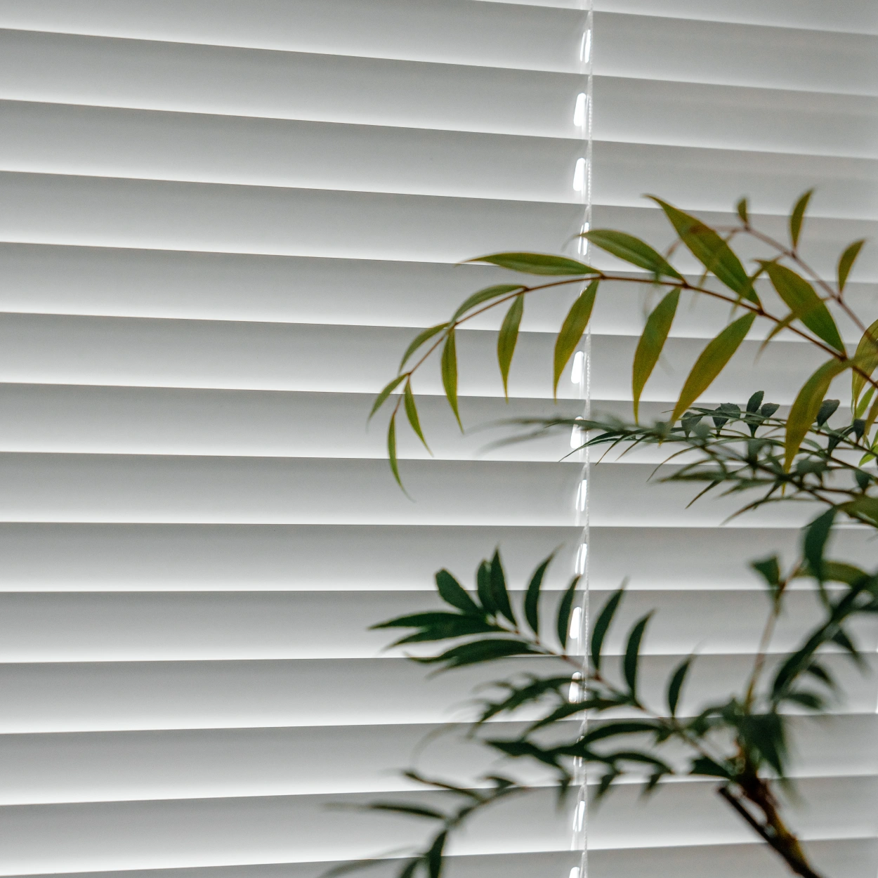 Darphe Motorized Solar Aluminum Blinds Material and Shading