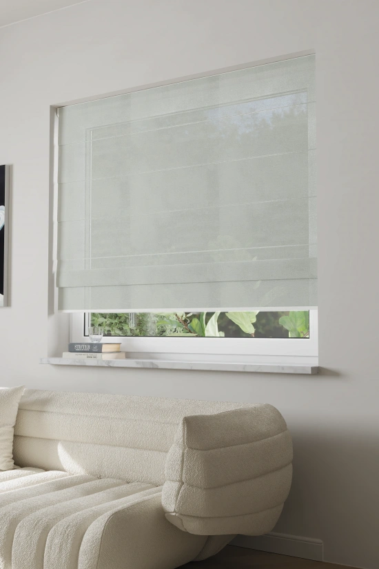 Darphe Custom10%Openness Factor  Roman Shades