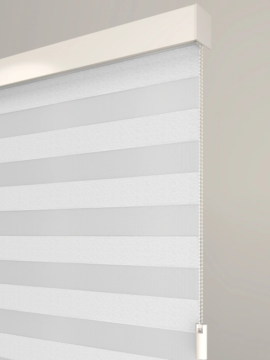 Darphe Custom Full Blackout Zebra Dual Window Blinds