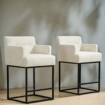Darphe Counter Height Bar Stools Set of 2, Modern Square Bar Stool with Back