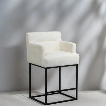 Darphe Counter Height Bar Stools Set of 2, Modern Square Bar Stool with Back
