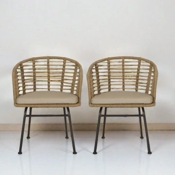 Darphe Outdoor Rattan Backrest Chair Set of 2